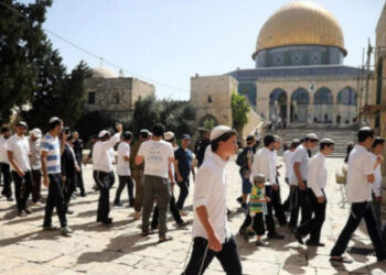 شاهد: مجموعات من المستوطنين يقتحمون باحات المسجد الأقصى تحت حماية قوات الاحتلال الإسرائيلي