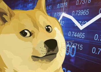 إيلون ماسك: سأستمر في دعم Dogecoin