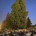 دعوات للجمهور والمشاركة في صلاة الجمعة المقبل في الأقصى 96 دعوات للجمهور والمشاركة في صلاة الجمعة المقبل في الأقصى