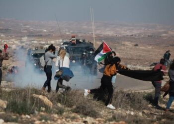 Israeli settlers, forces assault activists in Masafer Yatta