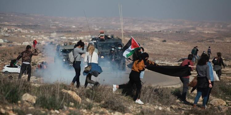 Israeli settlers, forces assault activists in Masafer Yatta