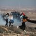 Israeli settlers, forces assault activists in Masafer Yatta 18 Israeli settlers, forces assault activists in Masafer Yatta