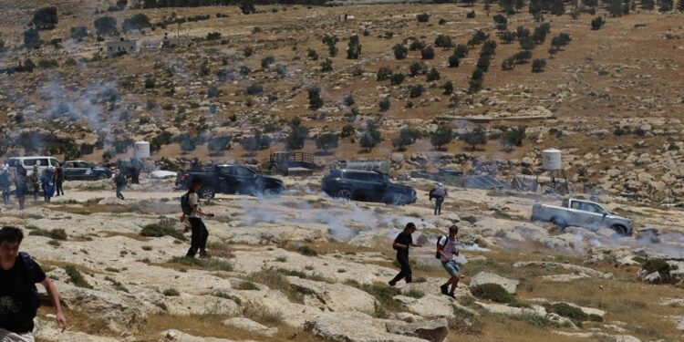 Israeli settlers assault protest in Masafer Yatta, wounds reported