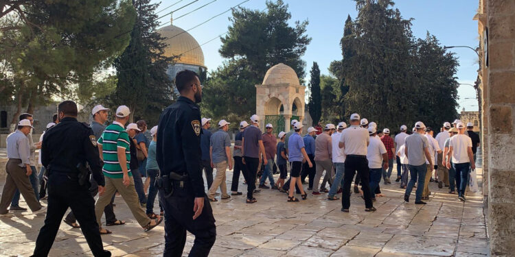  Abu Rudeineh: Israeli storming of Al-Aqsa Mosque is invasion, not a visit