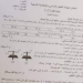 إجابات امتحان العلوم العامة للصف التاسع 2022 سوريا 99 إجابات امتحان العلوم العامة للصف التاسع 2022 سوريا