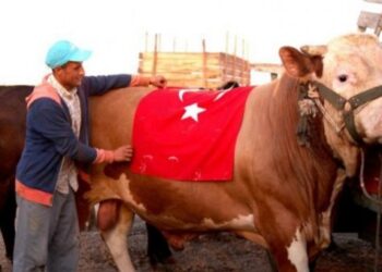 كم يوم عطلة عيد الأضحى 2022 في تركيا ؟