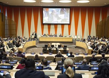UN adopts two resolutions in favor of Palestine