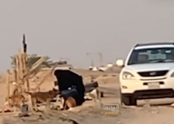 ما قصة المرأة الكويتية التي تطعم وتسقي الكلاب في البر؟ (فيديو)