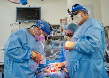 نجاح عمليتي زرع قلبي خنزيرين لشخصين ميتين دماغيا