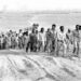 تفاصيل عمليات حرق الجنود المصريين من قبل الإسرائيليين 97 تفاصيل عمليات حرق الجنود المصريين من قبل الإسرائيليين