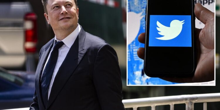 Elon Musk files counterclaim against Twitter in a legal battle