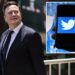 Elon Musk files counterclaim against Twitter in legal battle 18 Elon Musk files counterclaim against Twitter in a legal battle