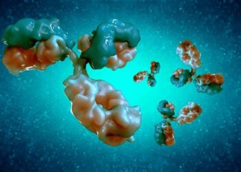 Contagious illness like Ebola kills people in Ghana