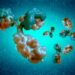 Contagious illness like Ebola kills people in Ghana 18 Contagious illness like Ebola kills people in Ghana