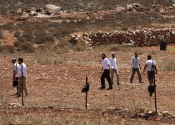 Israeli settlers attack farmers, herders in Masafer Yatta