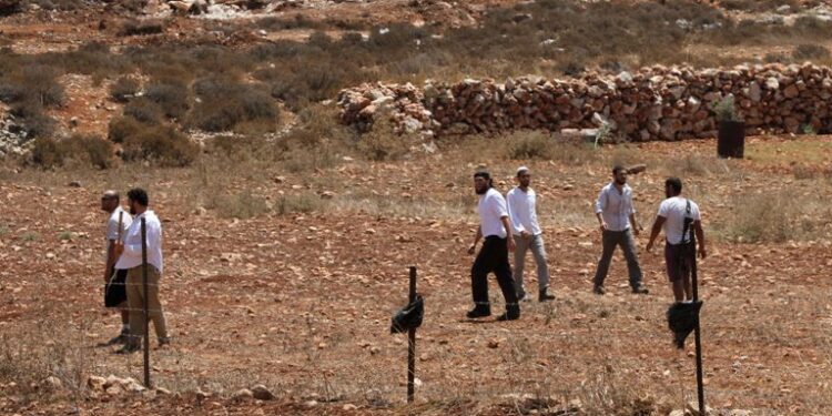 Israeli settlers attack farmers, herders in Masafer Yatta