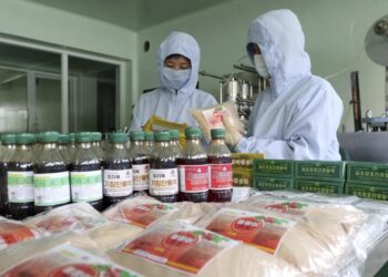 North Korea fights COVID-19 with the traditional medicine