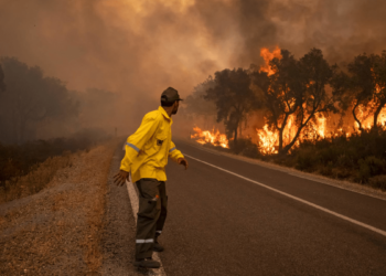 وفاة سيدتين اختناقا في تجدد حرائق غابات المغرب