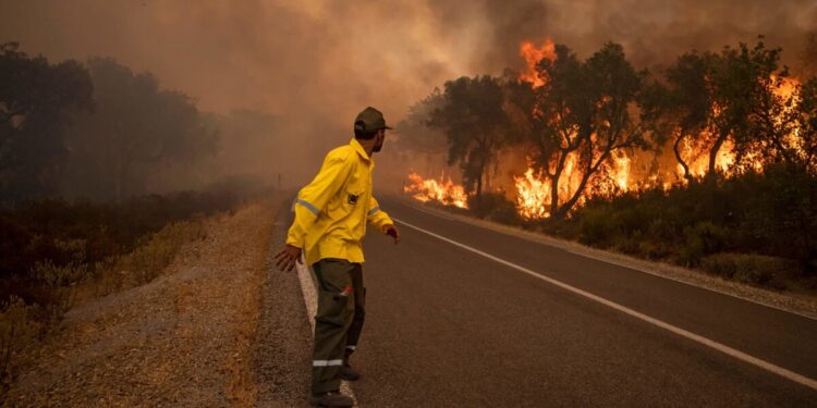 المغرب يعلن السيطرة على حريق ضخم أتى على 7800 هكتار