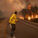 المغرب يعلن السيطرة على حريق ضخم أتى على 7800 هكتار 99 المغرب يعلن السيطرة على حريق ضخم أتى على 7800 هكتار