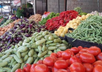 أسعار الخضروت واللحوم والدجاج في أسواق قطاع غزة اليوم الخميس