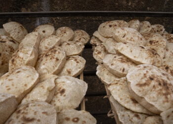 ماذا نعرف عن الخبز الذي شكّل حياتنا وثقافاتنا لآلاف السنين؟