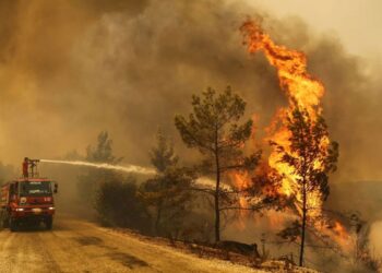 حرائق في شمال المغرب والرياح القوية تعرقل عمليات الإطفاء
