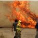Heatwave: Fierce European heat heads north 18 Heatwave: Fierce European heat heads north