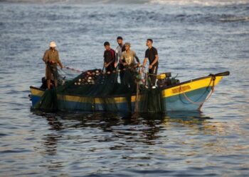 الشرطة البحرية تصدر تنويه مهم للصيادين في قطاع غزة