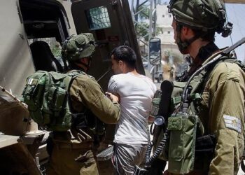 IOF arrests 14 Palestinians including woman in West Bank