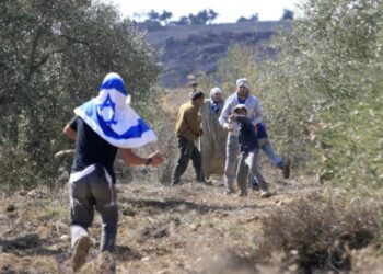 Colonists attack shepherds, farmers , homes in Bethlehem