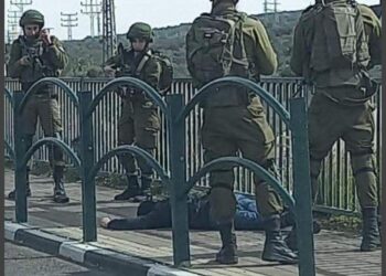 UN calls on Israel to respect human rights, Palestinians life right in West Bank