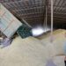 Washington unveils alternative plan to move Ukrainian grain from Odessa port 17 Washington unveils alternative plan to move Ukrainian grain from Odessa port