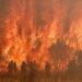 Massive fires still devour Europe 16 Massive fires still devour Europe