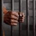 Palestinian detainee completes 20 years in Israeli jails 19 Palestinian detainee completes 20 years in Israeli jails