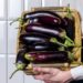 Do you know, what eggplant does to your health?! 16 Do you know, what eggplant does to your health?!