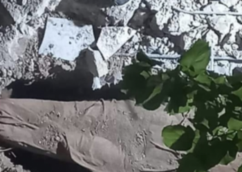 شرطة رام الله تكشف تفاصيل جديدة حول جريمة العجة