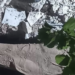 شرطة رام الله تكشف تفاصيل جديدة حول جريمة العجة 98 شرطة رام الله تكشف تفاصيل جديدة حول جريمة العجة