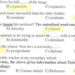حل امتحان مادة اللغة الإنجليزية توجيهي الأردن 2022 99 حل امتحان مادة اللغة الإنجليزية توجيهي الأردن 2022