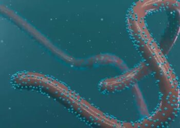 الصحة العالمية: عودة فيروس فتاك ووفاة حالتين