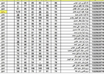 شبكة أخبار الناصرية نتائج الثالث متوسط 2022 ذي قار