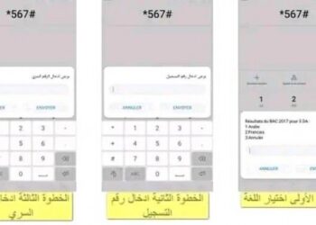 طريقة معرفة نتائج بكالوريا 2022 الجزائر عبر الهاتف