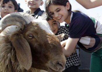 عطلة عيد الأضحى المبارك 2022 العراق