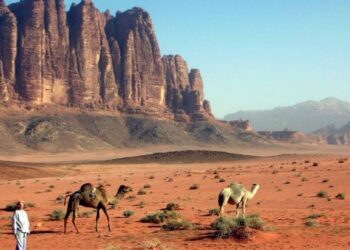فيديو فضيحة وادي رم غير الأخلاقي بالأردن .. التفاصيل الكاملة !