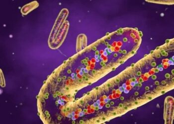 فيروس ماربورغ .. الأعراض والأسباب وطريقة العدوى