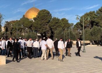 Des dizaines de colons prennent d’assaut Al-Aqsa 16 Des dizaines de colons prennent d’assaut Al-Aqsa