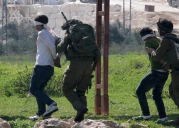 14 Palestinians detained by IOF include four siblings in West Bank 