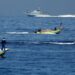 La marine israélienne cible des pêcheurs dans le sud de la bande de Gaza 19 La marine israélienne cible des pêcheurs dans le sud de la bande de Gaza
