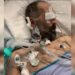 Palestinian inmate in Israeli jail dies due to medical neglect 18 Palestinian inmate in Israeli jail dies due to medical neglect