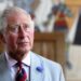 Would king Charles achieve Israel's goals? 16 Would king Charles achieve Israel’s goals?